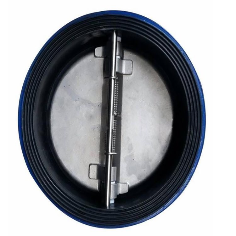 Rubber Lined Dual Plate Check Valve