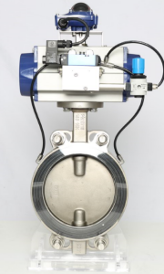 Pneumatic Expansion Butterfly Valve